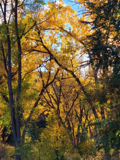 Lower Chautauqua Park - Hot Springs, SD