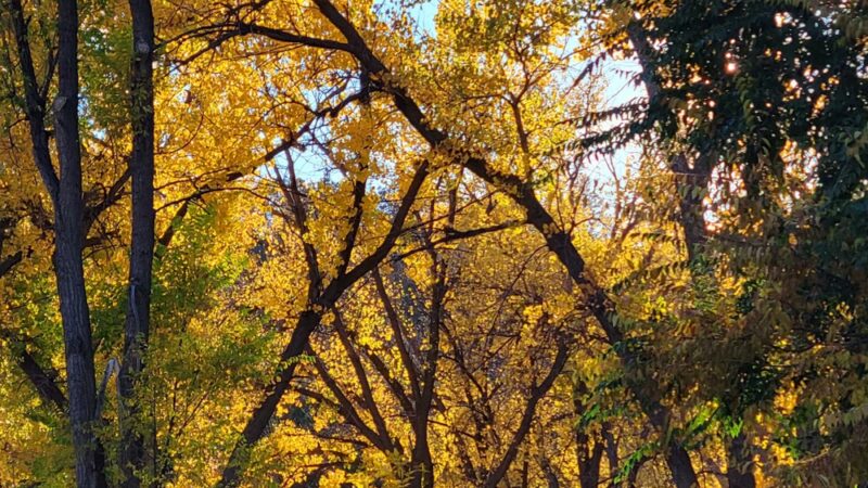 Lower Chautauqua Park - Hot Springs, SD