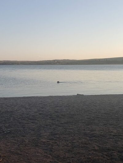 Sheps Canyon Recreation Area - Hot Springs, SD