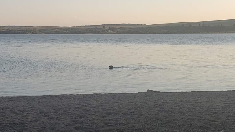 Sheps Canyon Recreation Area - Hot Springs, SD