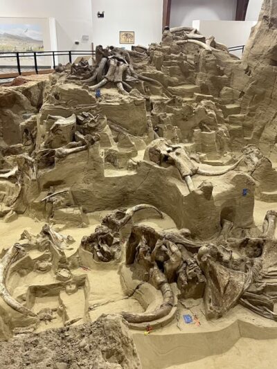 The Mammoth Site - Hot Springs, SD
