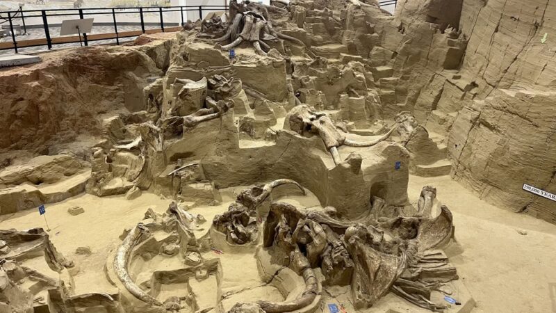 The Mammoth Site - Hot Springs, SD