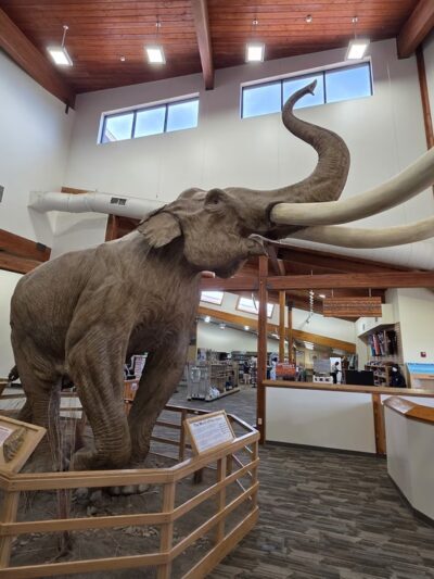 The Mammoth Site - Hot Springs, SD