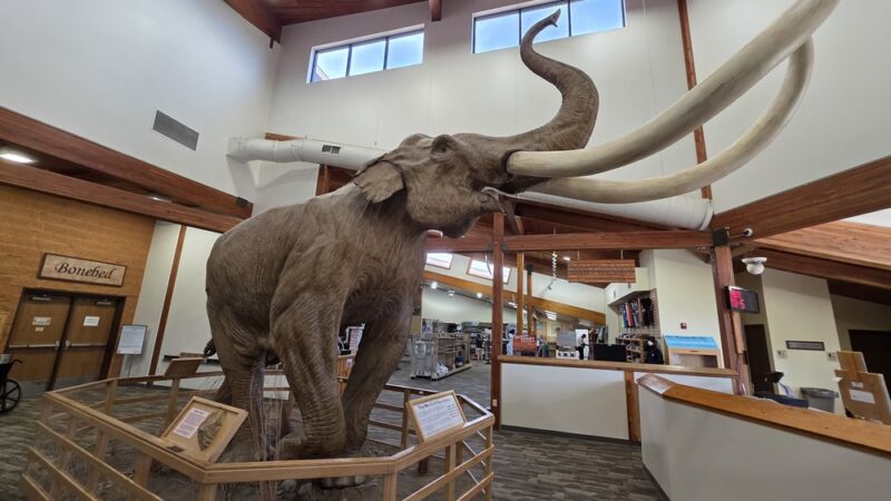 The Mammoth Site - Hot Springs, SD