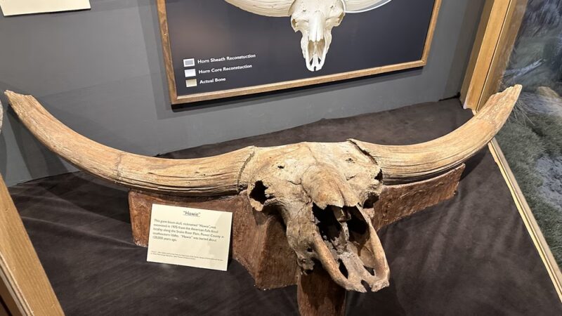 The Mammoth Site - Hot Springs, SD