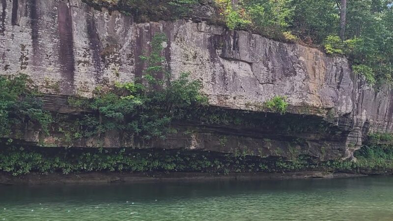 Dog's Bluff Swimminghole - Houston, MO