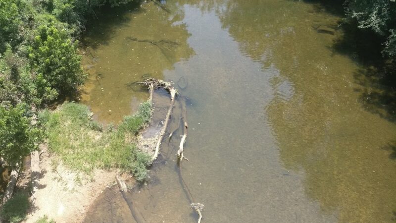 Dog's Bluff Swimminghole - Houston, MO