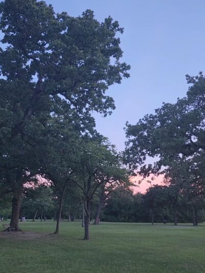 Agnes Moffitt Park - Houston, TX