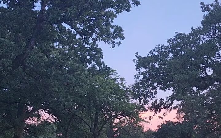 Agnes Moffitt Park - Houston, TX