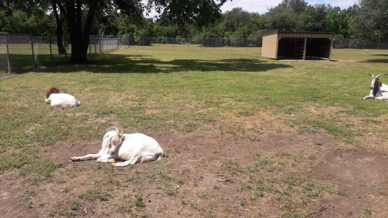 Bear Creek Pioneers Park - Houston, TX