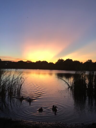 Blueridge Park - Houston, TX