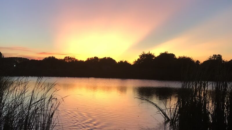 Blueridge Park - Houston, TX