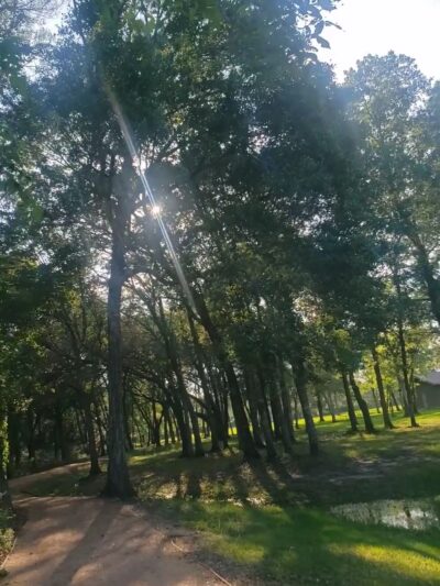 Blueridge Park - Houston, TX