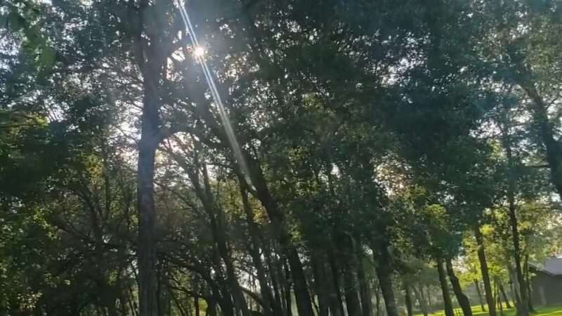 Blueridge Park - Houston, TX
