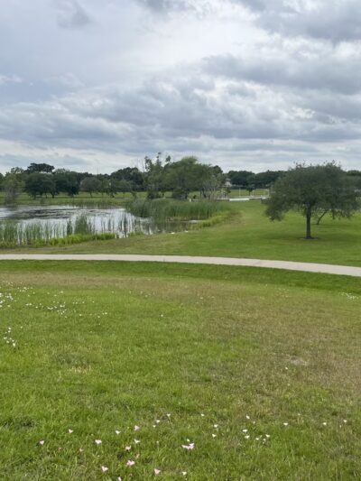 Blueridge Park - Houston, TX