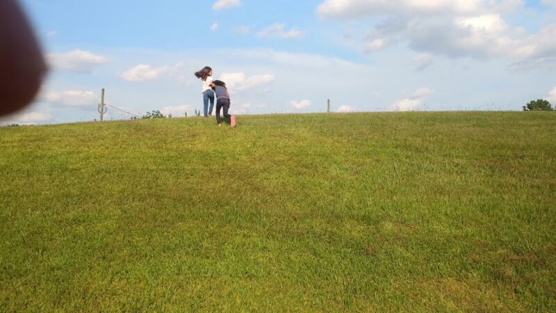 Bonham Park - Houston, TX