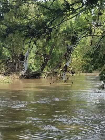 Briarbend Park - Houston, TX