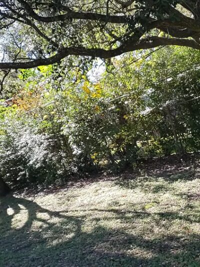 Briarmeadow Park - Houston, TX
