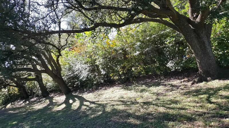 Briarmeadow Park - Houston, TX