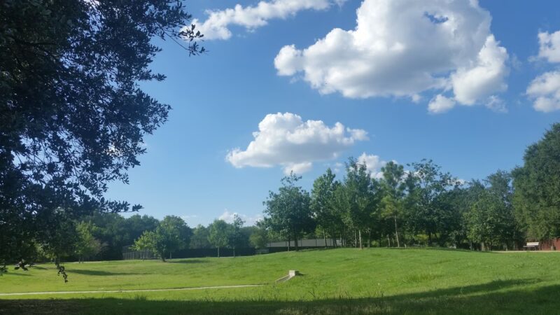Briarmeadow Park - Houston, TX