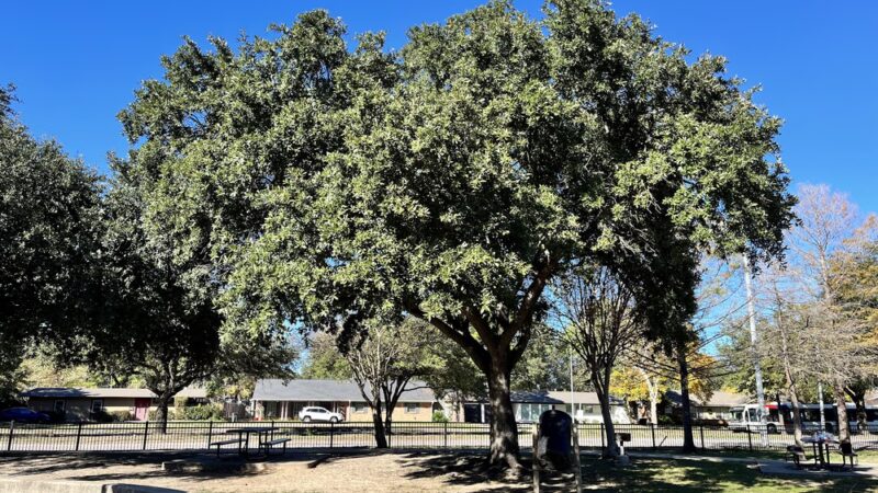 Briarmeadow Park - Houston, TX