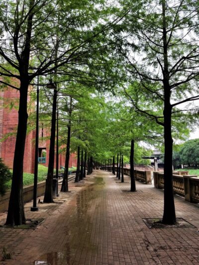 Buffalo Bayou Hike and Bike Trail Downtown - South Bank - Houston, TX