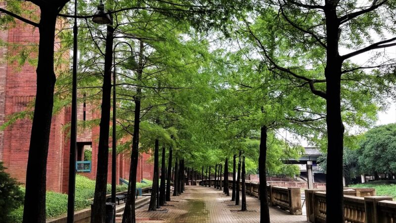 Buffalo Bayou Hike and Bike Trail Downtown - South Bank - Houston, TX