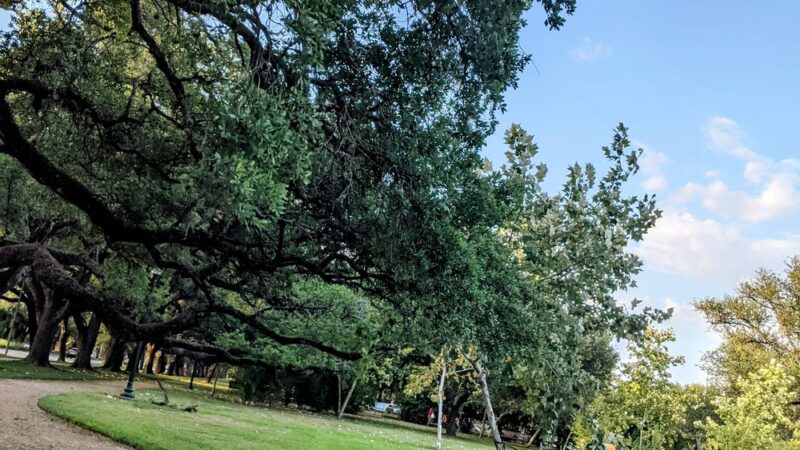 Cravens Parkway - Houston, TX
