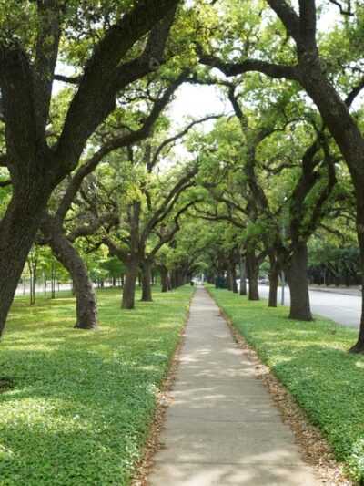 Cravens Parkway - Houston, TX