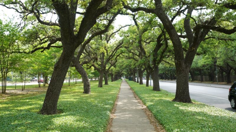 Cravens Parkway - Houston, TX