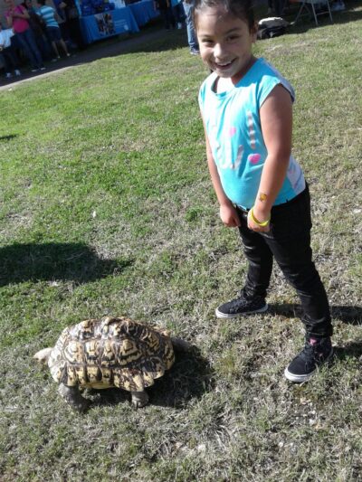 Croyden Gardens Park - Houston, TX