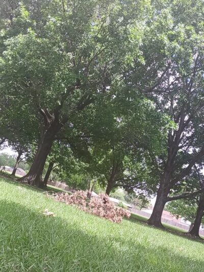 Dow Park - Houston, TX