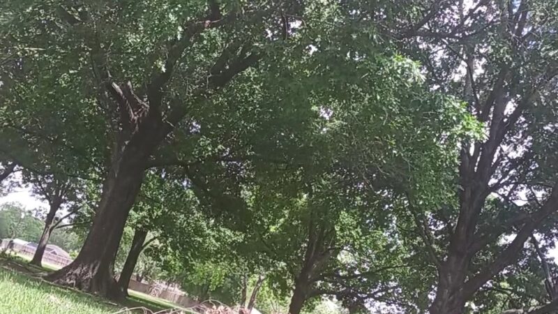 Dow Park - Houston, TX