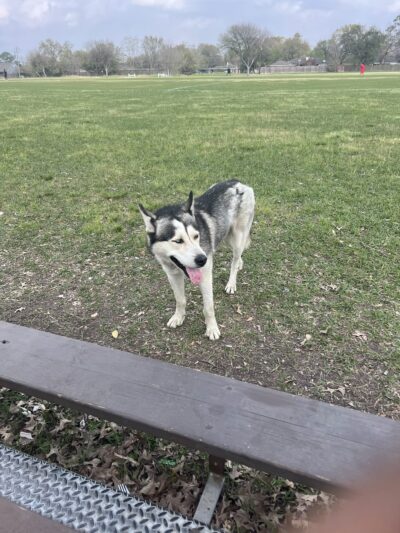 Dow Park - Houston, TX