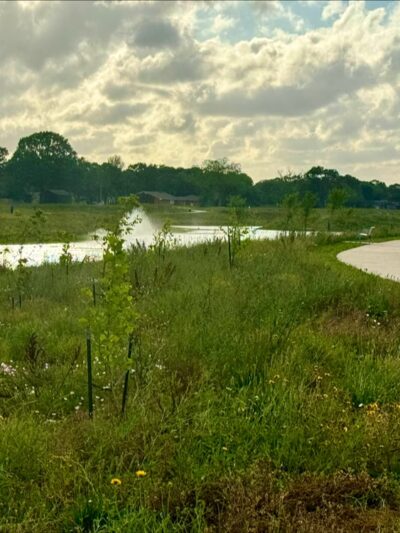 Exploration Green - Houston, TX