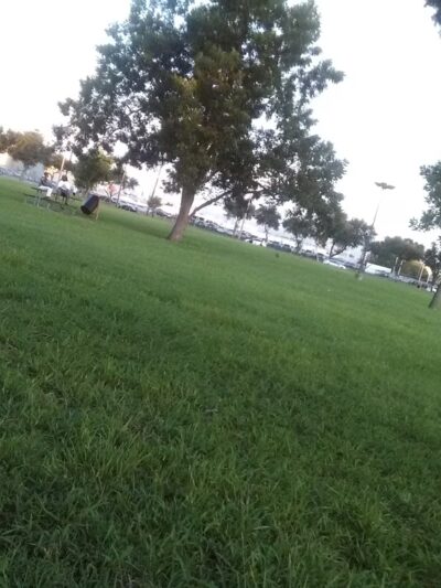 Forum Park - Houston, TX
