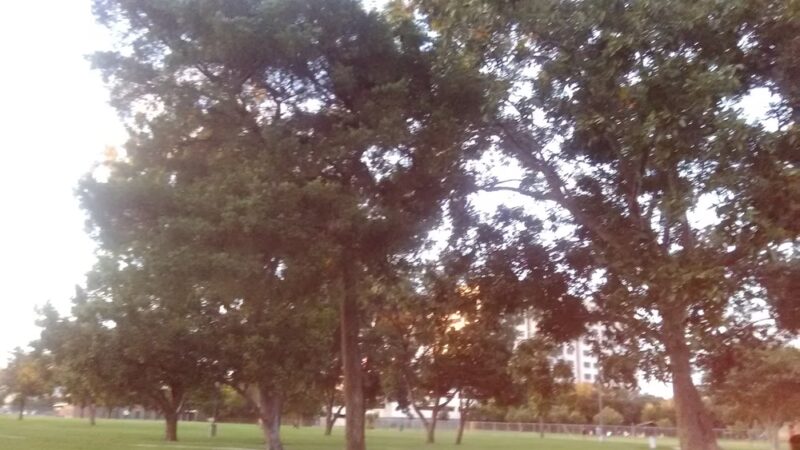 Forum Park - Houston, TX