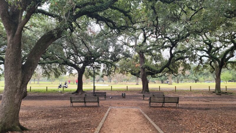 Herman Park - Houston, TX