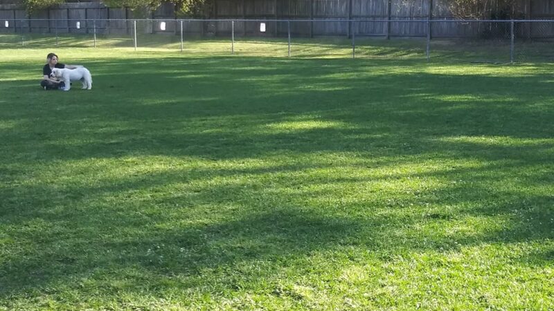 HRF Parks and Grounds Park - Houston, TX
