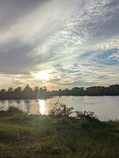 Kenneth W. Royal Park-Oakbrook - Houston, TX