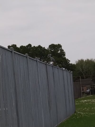Krueger Park - Meadowgreen - Houston, TX