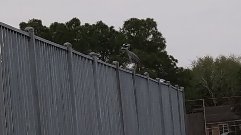 Krueger Park - Meadowgreen - Houston, TX