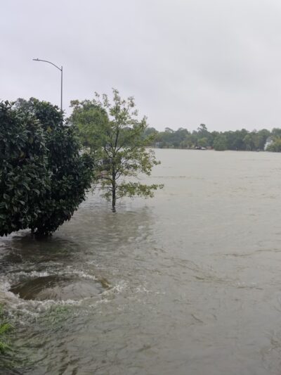 MacGregor Parkway - Houston, TX