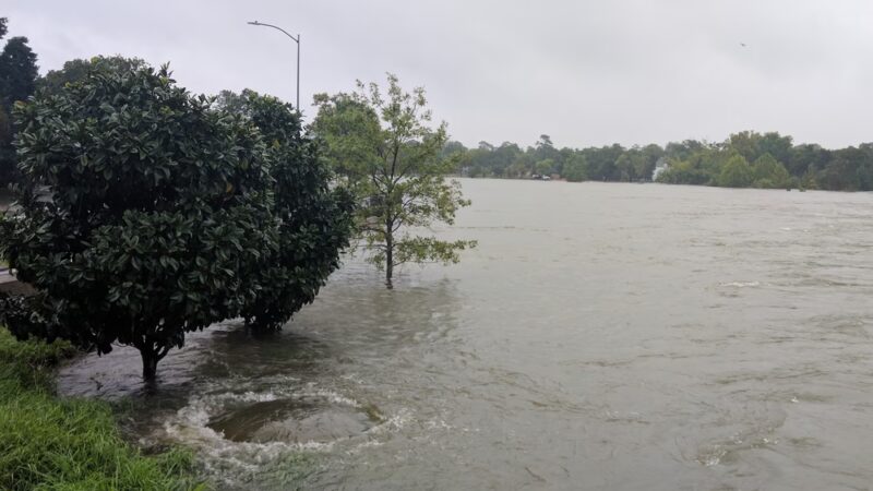 MacGregor Parkway - Houston, TX