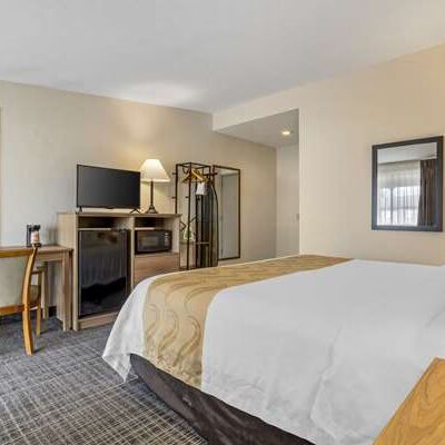 Quality Inn & Suites NRG Park - Medical Center - Houston, TX