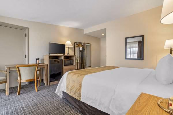 Quality Inn & Suites NRG Park - Medical Center - Houston, TX