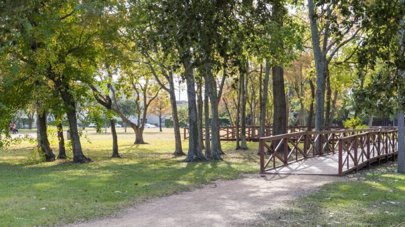 Ray Miller Park - Houston, TX