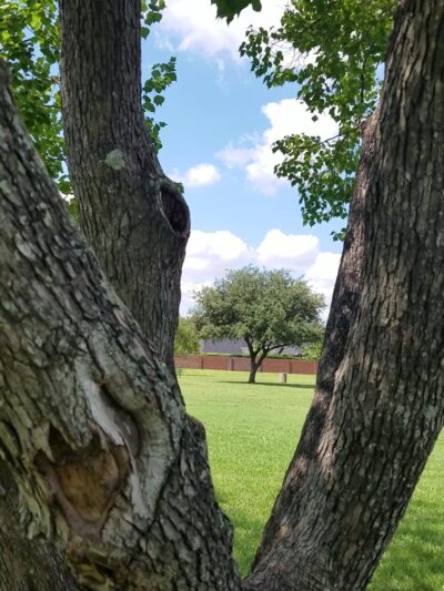 Ray Miller Park - Houston, TX
