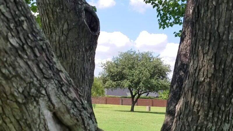 Ray Miller Park - Houston, TX