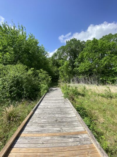 Robert C. Stuart Park - Houston, TX
